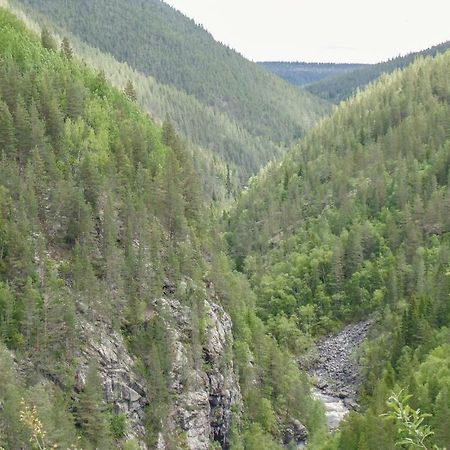 Cozy Home In Rendalen With House A Mountain View Svarstad  外观 照片