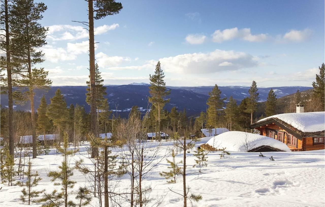 Cozy Home In Rendalen With House A Mountain View Svarstad  外观 照片