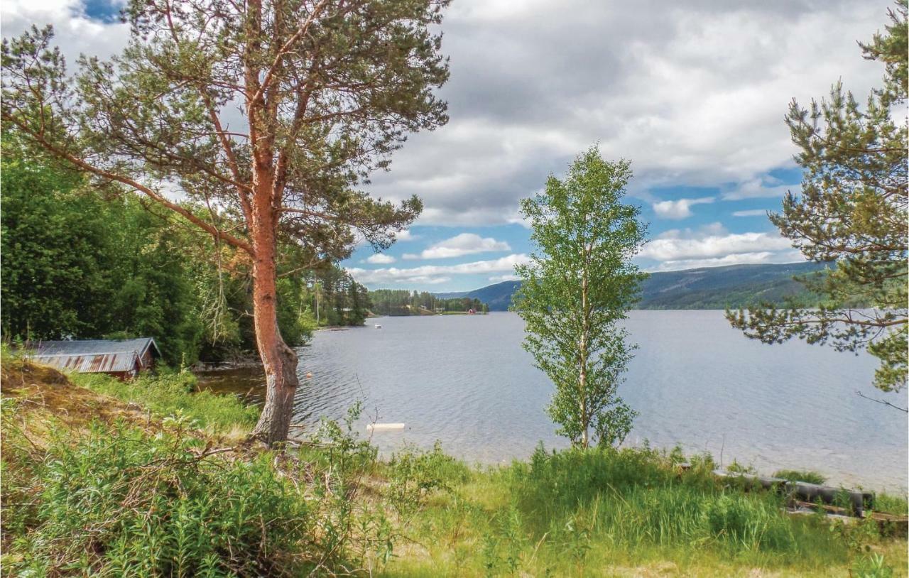Cozy Home In Rendalen With House A Mountain View Svarstad  外观 照片